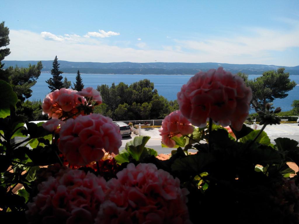 Villa Ljetni San Omis Exterior photo
